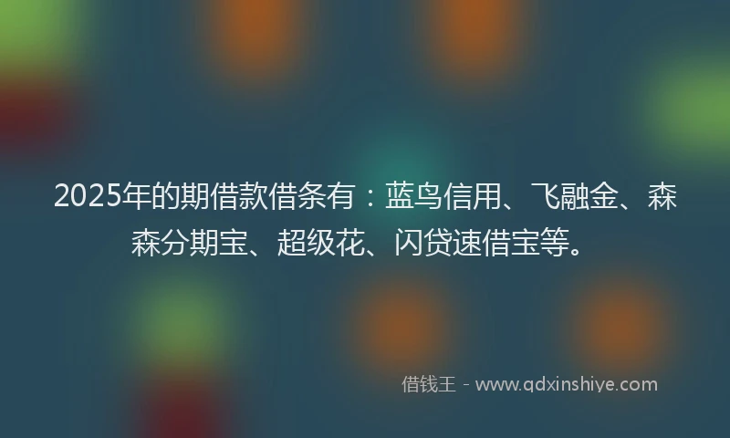 2025年的期借款借条有：蓝鸟信用、飞融金、森森分期宝、超级花、闪贷速借宝等。