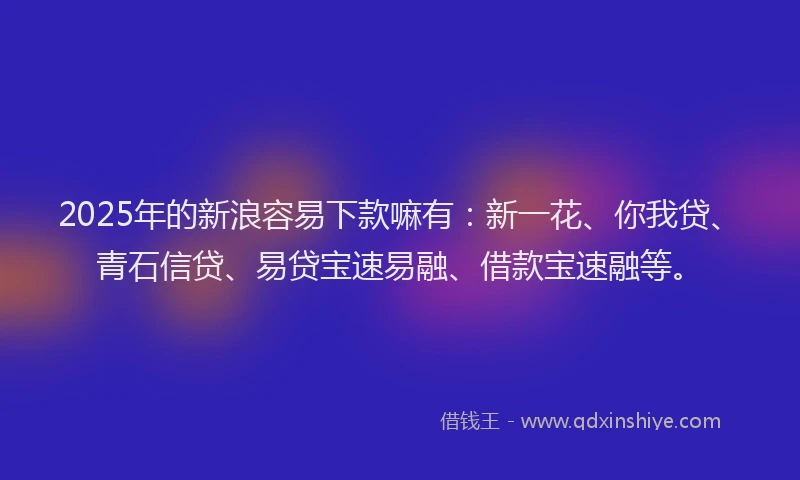 2025年的新浪容易下款嘛有：新一花、你我贷、青石信贷、易贷宝速易融、借款宝速融等。