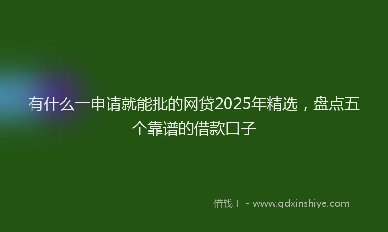 有什么一申请就能批的网贷2025年精选，盘点五个靠谱的借款口子