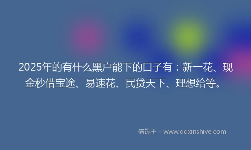 2025年的有什么黑户能下的口子有：新一花、现金秒借宝途、易速花、民贷天下、理想给等。