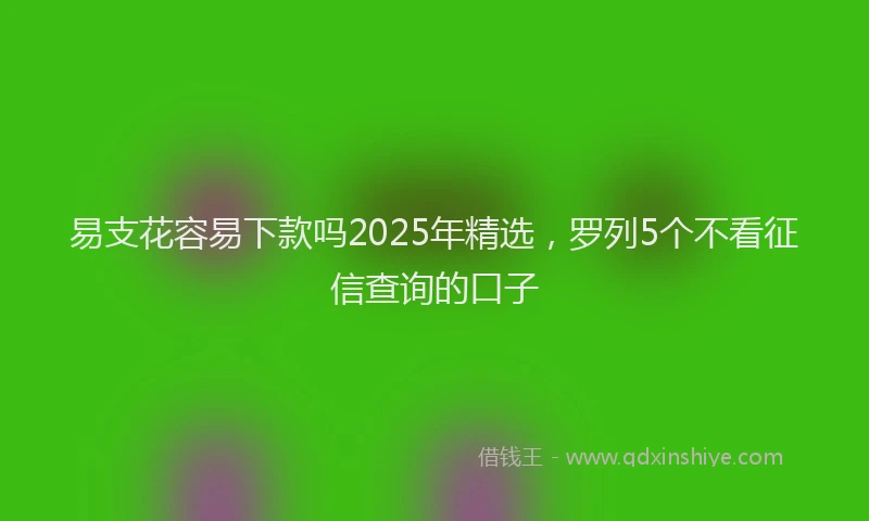 易支花容易下款吗2025年精选，罗列5个不看征信查询的口子