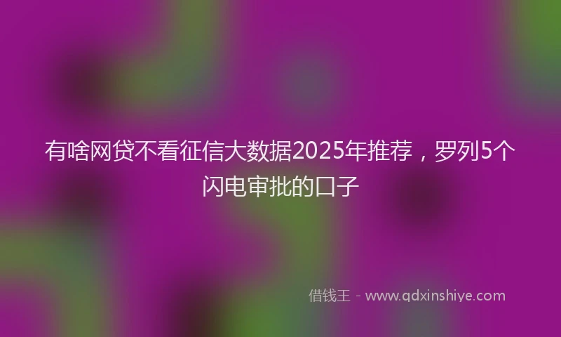 有啥网贷不看征信大数据2025年推荐，罗列5个闪电审批的口子