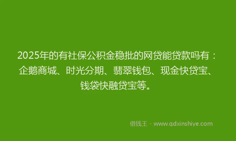 2025年的有社保公积金稳批的网贷能贷款吗有：企鹅商城、时光分期、翡翠钱包、现金快贷宝、钱袋快融贷宝等。