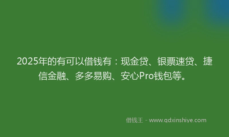 2025年的有可以借钱有：现金贷、银票速贷、捷信金融、多多易购、安心Pro钱包等。