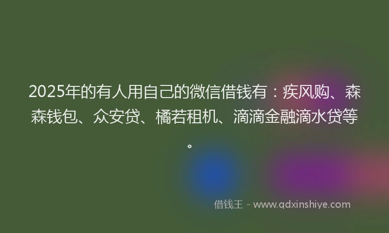 2025年的有人用自己的微信借钱有：疾风购、森森钱包、众安贷、橘若租机、滴滴金融滴水贷等。