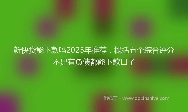 新快贷能下款吗2025年推荐，概括五个综合评分不足有负债都能下款口子