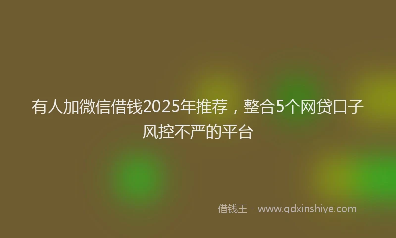 有人加微信借钱2025年推荐，整合5个网贷口子风控不严的平台