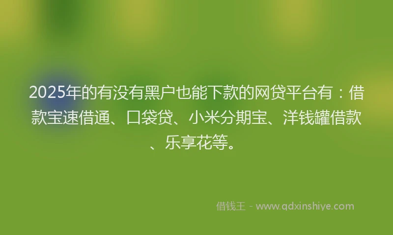 2025年的有没有黑户也能下款的网贷平台有：借款宝速借通、口袋贷、小米分期宝、洋钱罐借款、乐享花等。