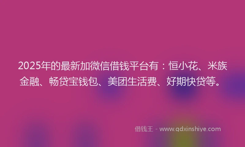 2025年的最新加微信借钱平台有：恒小花、米族金融、畅贷宝钱包、美团生活费、好期快贷等。