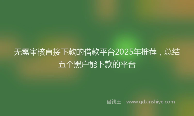 无需审核直接下款的借款平台2025年推荐，总结五个黑户能下款的平台
