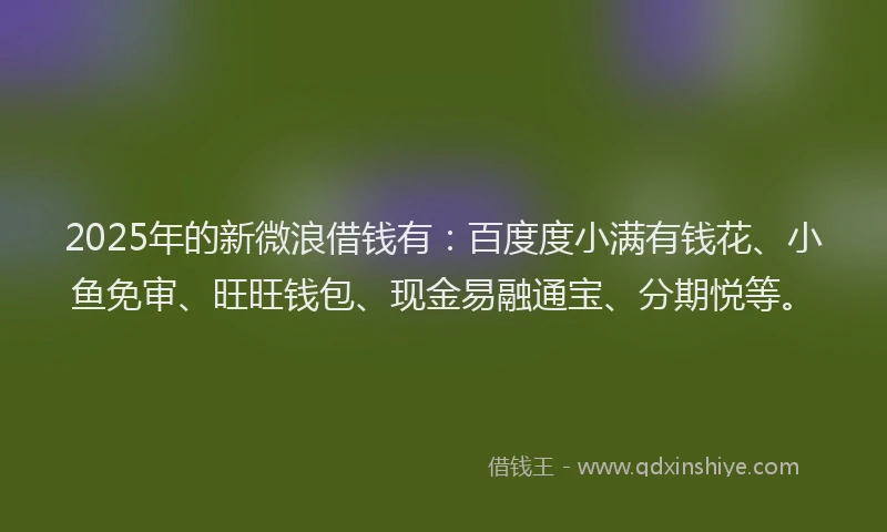 2025年的新微浪借钱有：百度度小满有钱花、小鱼免审、旺旺钱包、现金易融通宝、分期悦等。
