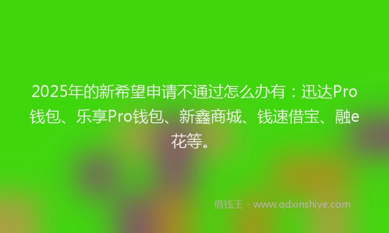 2025年的新希望申请不通过怎么办有：迅达Pro钱包、乐享Pro钱包、新鑫商城、钱速借宝、融e花等。