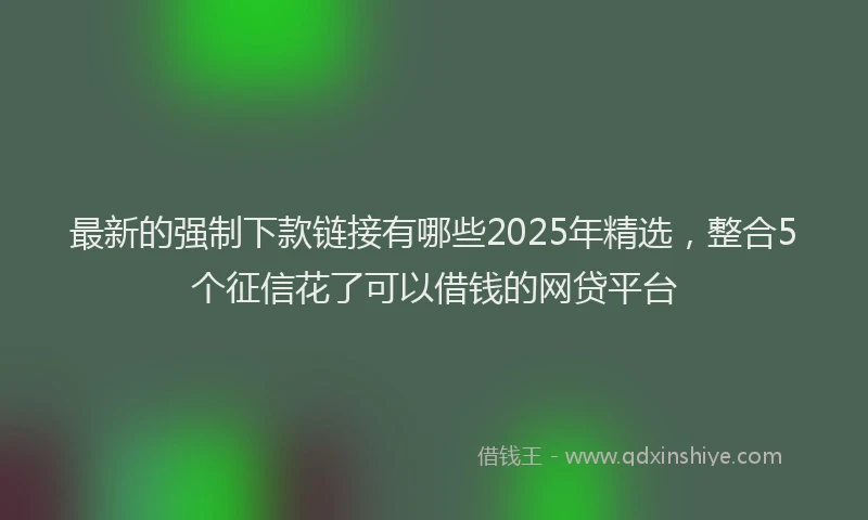最新的强制下款链接有哪些2025年精选，整合5个征信花了可以借钱的网贷平台