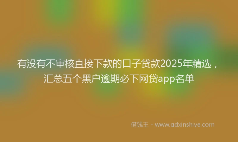 有没有不审核直接下款的口子贷款2025年精选，汇总五个黑户逾期必下网贷app名单