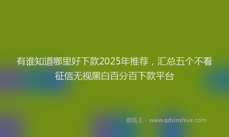 有谁知道哪里好下款2025年推荐，汇总五个不看征信无视黑白百分百下款平台