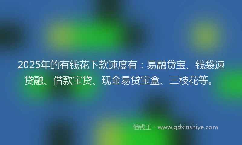 2025年的有钱花下款速度有：易融贷宝、钱袋速贷融、借款宝贷、现金易贷宝盒、三枝花等。
