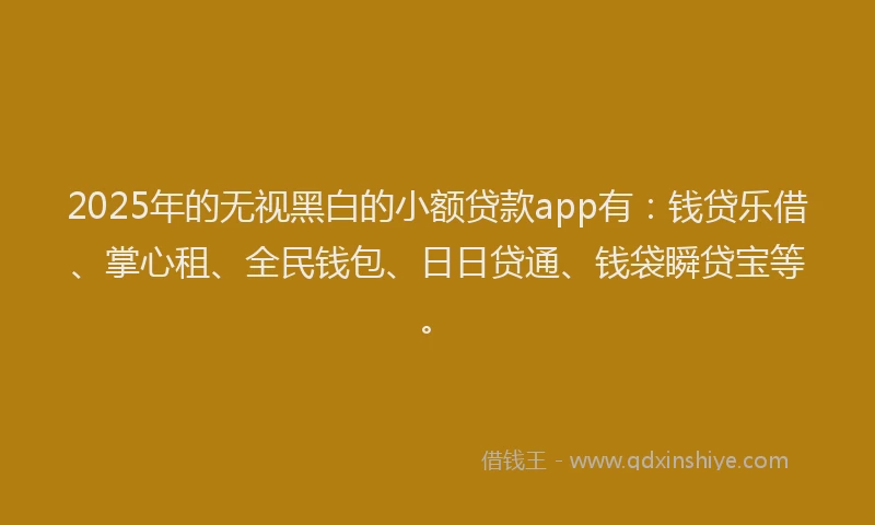 2025年的无视黑白的小额贷款app有：钱贷乐借、掌心租、全民钱包、日日贷通、钱袋瞬贷宝等。
