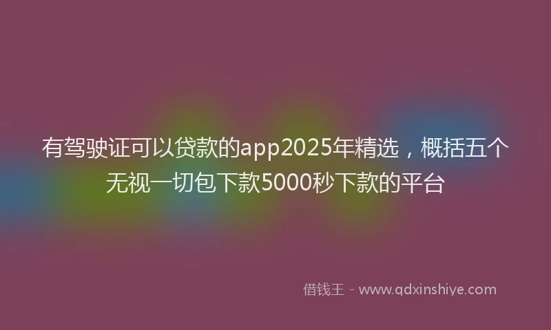 有驾驶证可以贷款的app2025年精选，概括五个无视一切包下款5000秒下款的平台