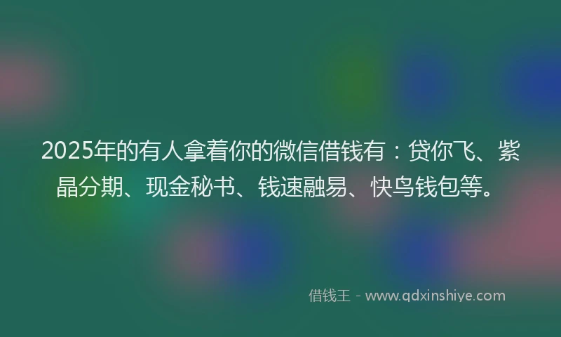 2025年的有人拿着你的微信借钱有：贷你飞、紫晶分期、现金秘书、钱速融易、快鸟钱包等。