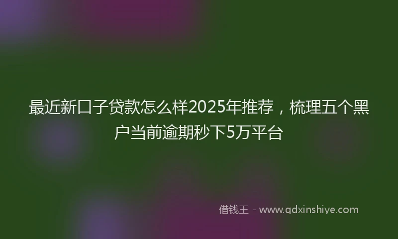 最近新口子贷款怎么样2025年推荐，梳理五个黑户当前逾期秒下5万平台