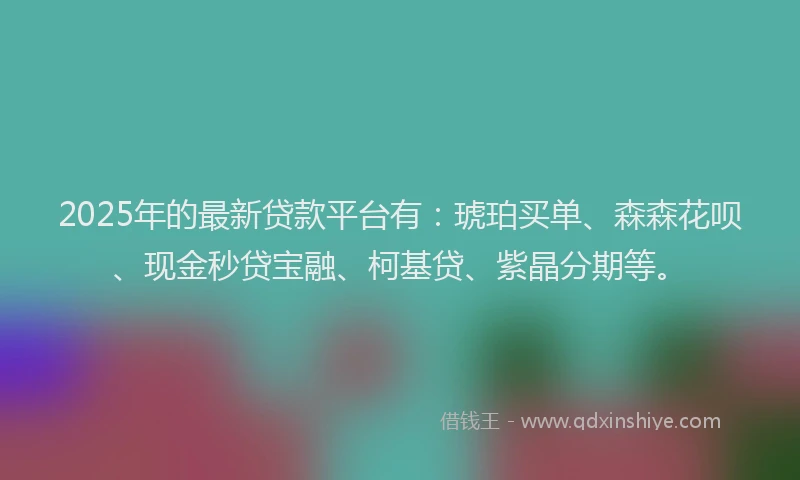 2025年的最新贷款平台有：琥珀买单、森森花呗、现金秒贷宝融、柯基贷、紫晶分期等。