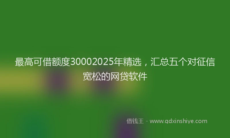 最高可借额度30002025年精选，汇总五个对征信宽松的网贷软件