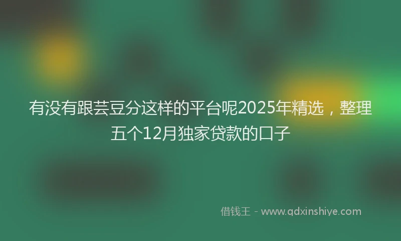有没有跟芸豆分这样的平台呢2025年精选，整理五个12月独家贷款的口子