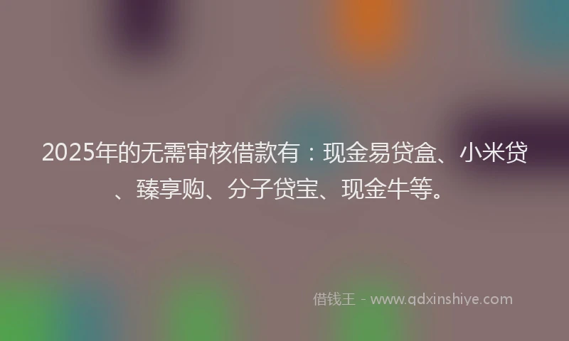2025年的无需审核借款有：现金易贷盒、小米贷、臻享购、分子贷宝、现金牛等。