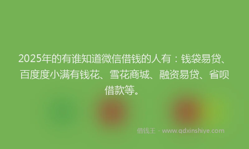 2025年的有谁知道微信借钱的人有：钱袋易贷、百度度小满有钱花、雪花商城、融资易贷、省呗借款等。