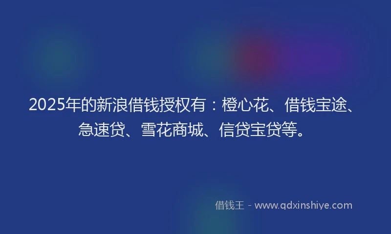 2025年的新浪借钱授权有：橙心花、借钱宝途、急速贷、雪花商城、信贷宝贷等。