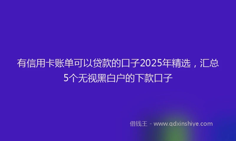 有信用卡账单可以贷款的口子2025年精选，汇总5个无视黑白户的下款口子
