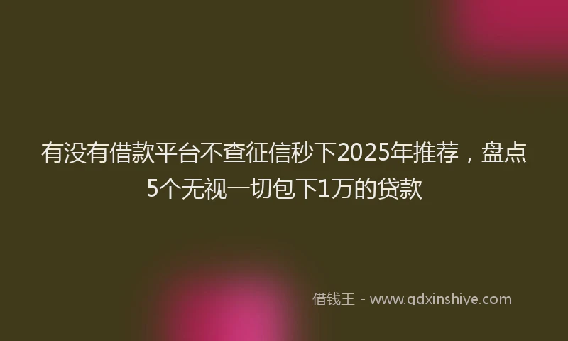 有没有借款平台不查征信秒下2025年推荐，盘点5个无视一切包下1万的贷款
