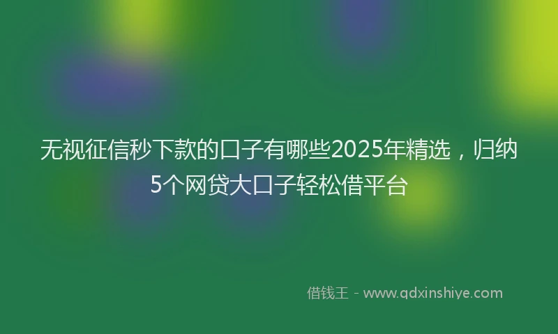 无视征信秒下款的口子有哪些2025年精选，归纳5个网贷大口子轻松借平台