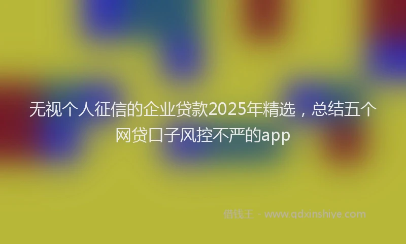 无视个人征信的企业贷款2025年精选，总结五个网贷口子风控不严的app