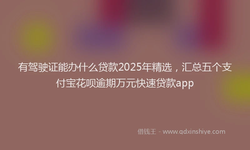 有驾驶证能办什么贷款2025年精选，汇总五个支付宝花呗逾期万元快速贷款app
