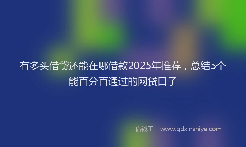 有多头借贷还能在哪借款2025年推荐，总结5个能百分百通过的网贷口子