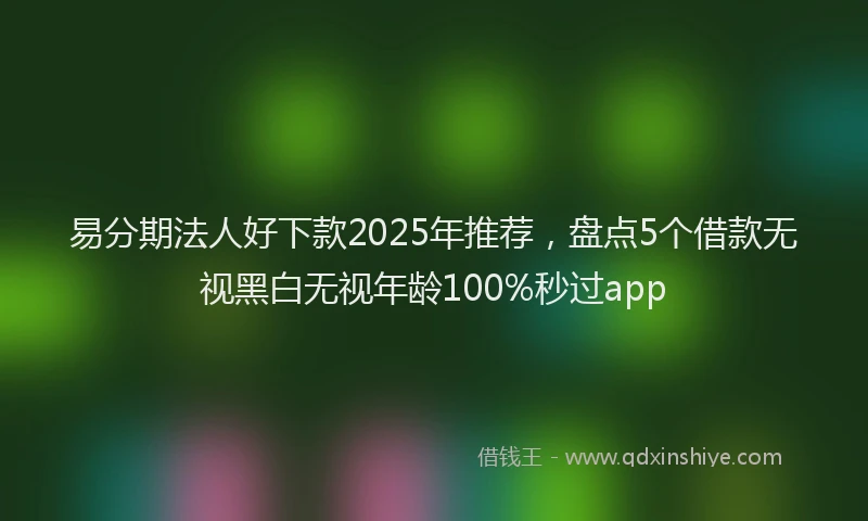 易分期法人好下款2025年推荐，盘点5个借款无视黑白无视年龄100%秒过app