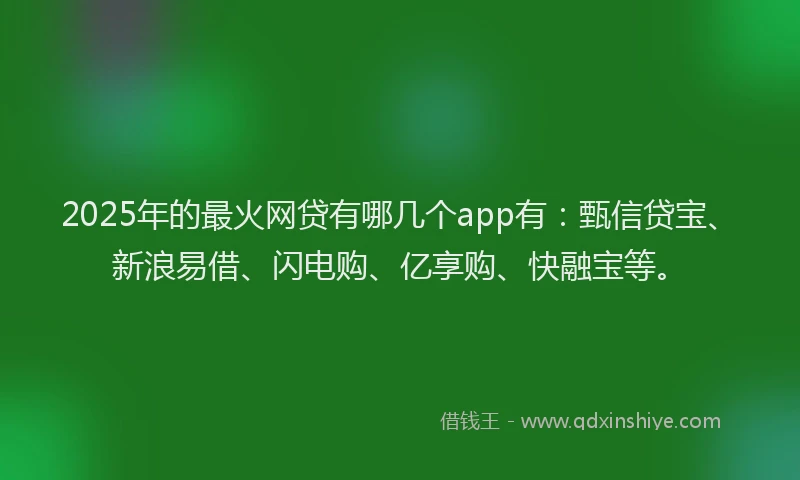 2025年的最火网贷有哪几个app有：甄信贷宝、新浪易借、闪电购、亿享购、快融宝等。