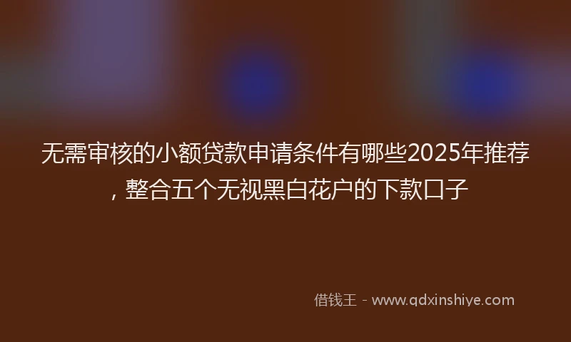 无需审核的小额贷款申请条件有哪些2025年推荐，整合五个无视黑白花户的下款口子