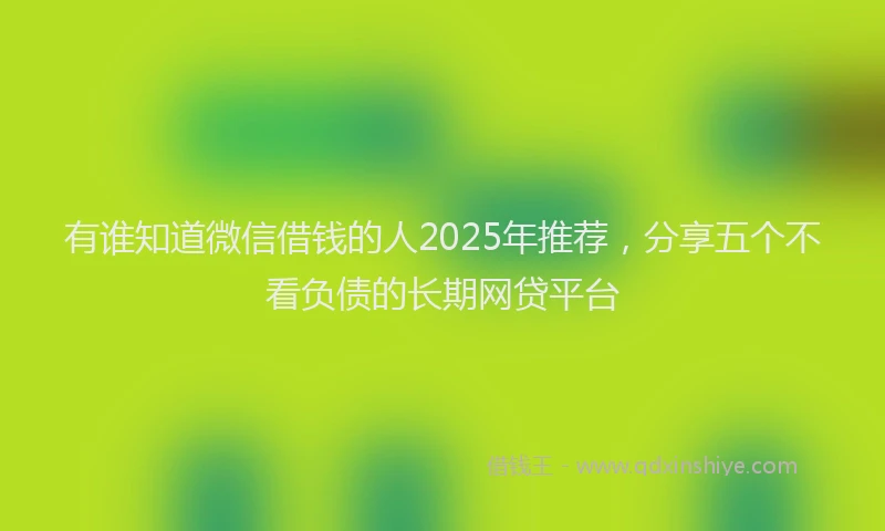 有谁知道微信借钱的人2025年推荐，分享五个不看负债的长期网贷平台