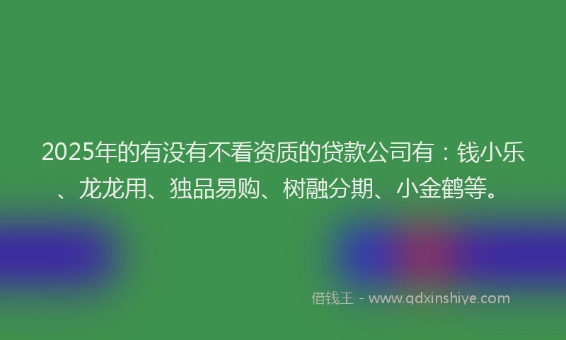 2025年的有没有不看资质的贷款公司有：钱小乐、龙龙用、独品易购、树融分期、小金鹤等。