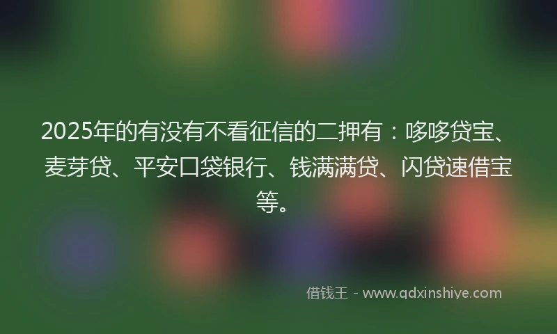 2025年的有没有不看征信的二押有：哆哆贷宝、麦芽贷、平安口袋银行、钱满满贷、闪贷速借宝等。
