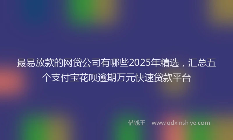 最易放款的网贷公司有哪些2025年精选，汇总五个支付宝花呗逾期万元快速贷款平台