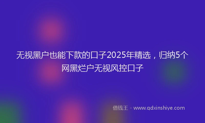无视黑户也能下款的口子2025年精选，归纳5个网黑烂户无视风控口子