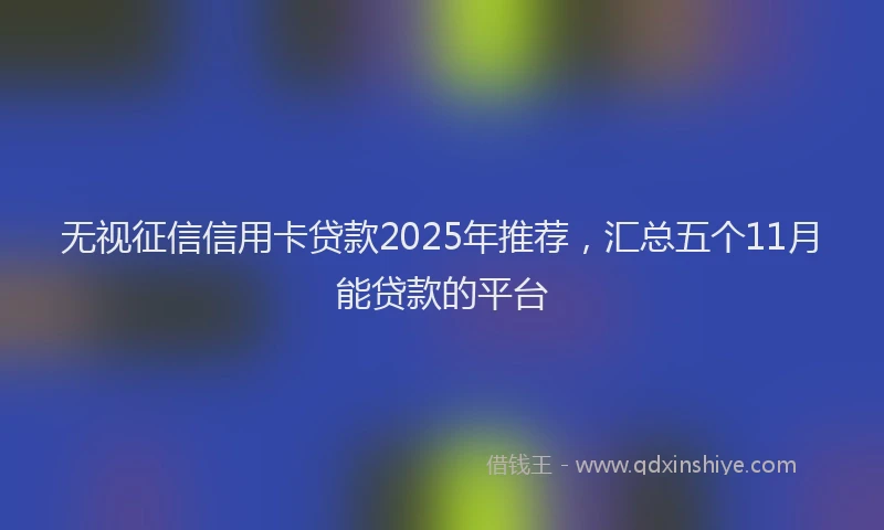 无视征信信用卡贷款2025年推荐，汇总五个11月能贷款的平台