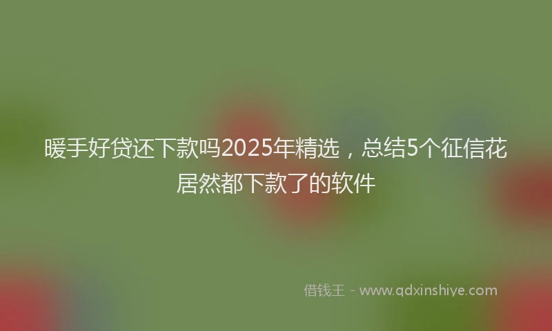 暖手好贷还下款吗2025年精选，总结5个征信花居然都下款了的软件
