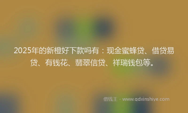 2025年的新橙好下款吗有：现金蜜蜂贷、借贷易贷、有钱花、翡翠信贷、祥瑞钱包等。