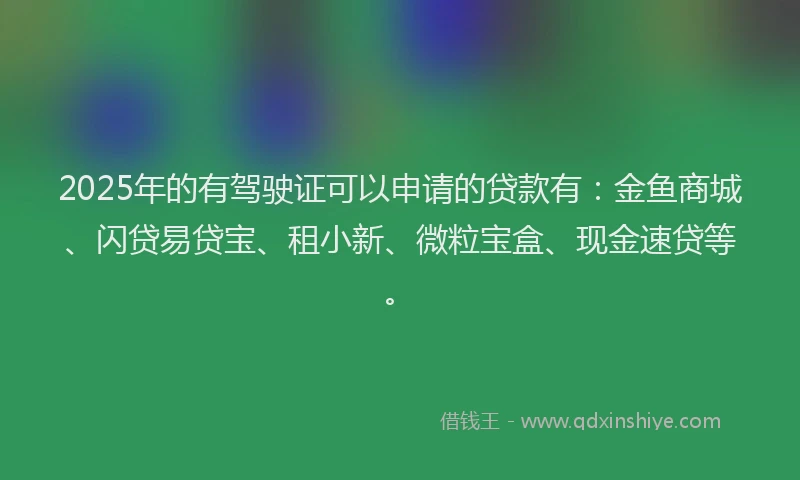 2025年的有驾驶证可以申请的贷款有：金鱼商城、闪贷易贷宝、租小新、微粒宝盒、现金速贷等。