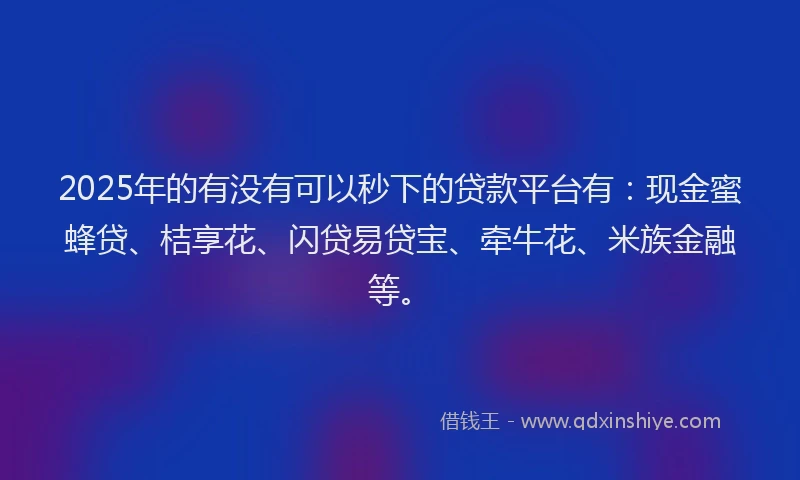 2025年的有没有可以秒下的贷款平台有：现金蜜蜂贷、桔享花、闪贷易贷宝、牵牛花、米族金融等。