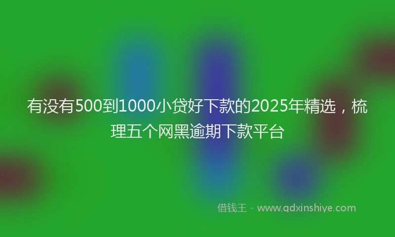 有没有500到1000小贷好下款的2025年精选，梳理五个网黑逾期下款平台